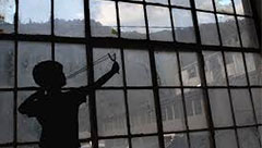 Tint Crafters of Highlands Ranch - Security Window Film Denver, CO